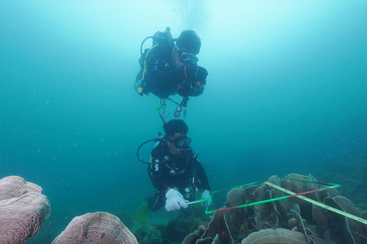 YKAN dan mitra mendukung pengelolaan lestari Kawasan Konservasi Perairan di Kepulauan Riau akan menerapkan Pola Pengelolaan Keuangan-Badan Layanan Umum Daerah (PPK-BLUD). Foto: Yayasan Konservasi Alam Nusantara (YKAN)