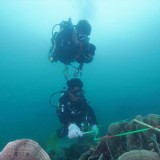 Pemprov Kepulauan Riau Dukung Pendanaan Berkelanjutan Pengelolaan Kawasan Konservasi Perairan