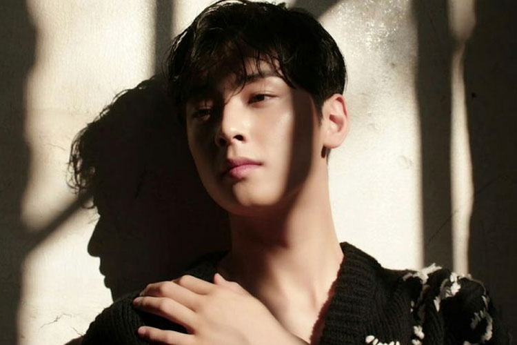Cha Eun Woo (FOTO: id.pinterest.com)