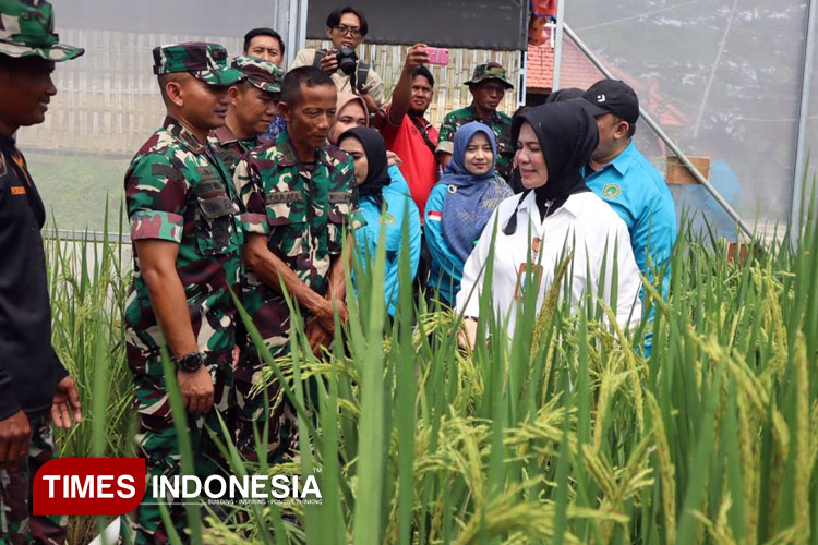 Kepala LLDIKTI Wilayah VII Jawa Timur, Prof. Dr. Dyah Sawitri, MM, bersama Dandim 0812/Lamongan Letkol Arm Ketut Wira Purbawan, S.I.P., M.Han meninjau langsung lokasi IFS Kodim Lamongan. (Foto : Pendim Lamongan for Times Indonesia)