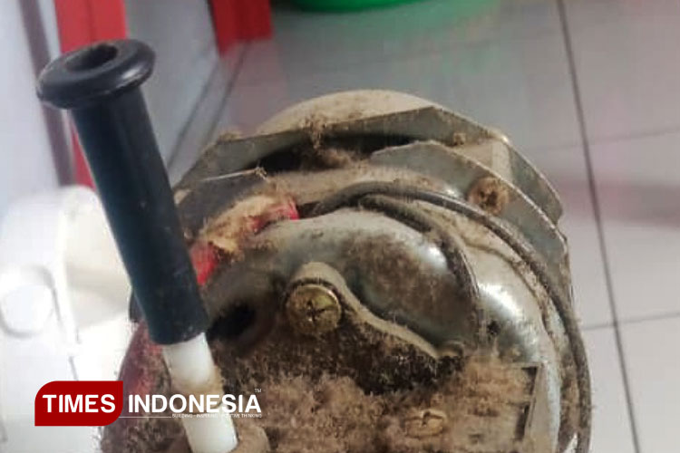 Lexa-sebelum-dan-sesudah-dibersihkan-2.jpg