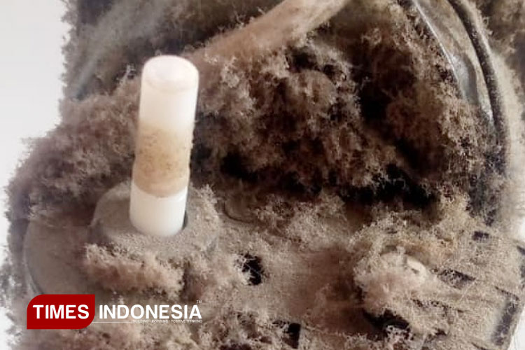 Mesin kipas angin milik Lexa sebelum dan sesudah dibersihkan. (FOTO: Ragil/TIMES Indonesia)