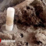 Cegah Risiko Alergi dan Asma, Bersihkan Kipas Angin Milik Anda Secara Berkala