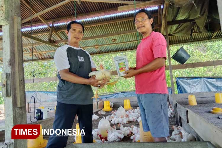 (kiri) Tatak Rekopurwanto, S.Pt, alumni Fakultas Peternakan Unisma Malang sukses menjadi sosiopreneur di bidang peternakan. (FOTO: AJP TIMES Indonesia)