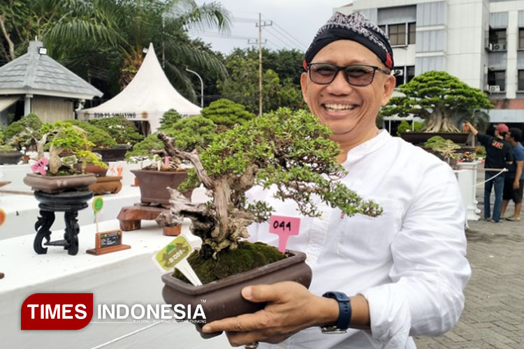 Salah satu penghobi bonsai asal Desa Surowiti Kecamatan Panceng Kabupaten Gresik saat mengikuti kontes Giri Kedaton Bonsai di Halaman Kantor Bupati Gresik (Foto: Akmal/TIMES Indonesia).