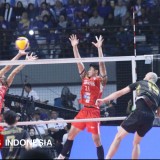 PLN Mobile Proliga 2025, Samator Kunci Juara Tiga Usai Bekuk Bank Sumsel