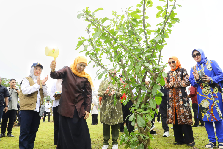 Gubernur-Khofifah-b-2.jpg