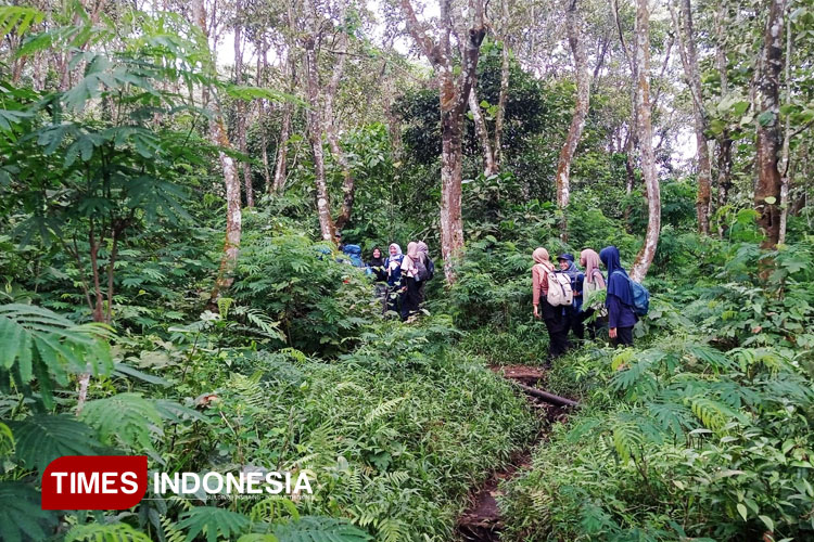 Jalur-pendakian-menuju-puncak-Bukit-Pundak.jpg