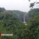 Kedai Tersembunyi di Kawasan Taman Wisata Alam Gunung Baung