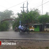 Musim Kemarau Belum Tiba, Pacitan Masih Diguyur Hujan Meski Sudah Masuk Mei