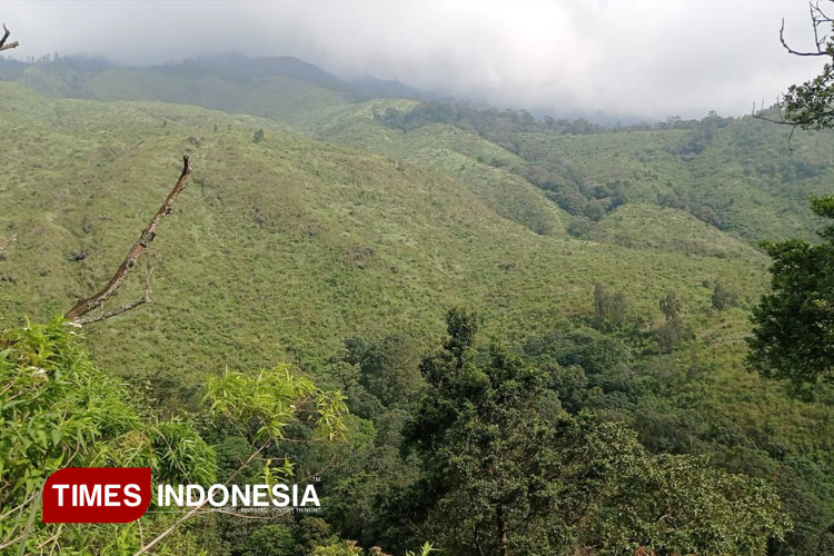 Pesona-Bukit-Pundak-di-ketinggian.jpg