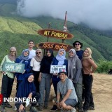 Menyibak Pesona Puncak Bukit Pundak, Cocok Buat Pendaki Pemula