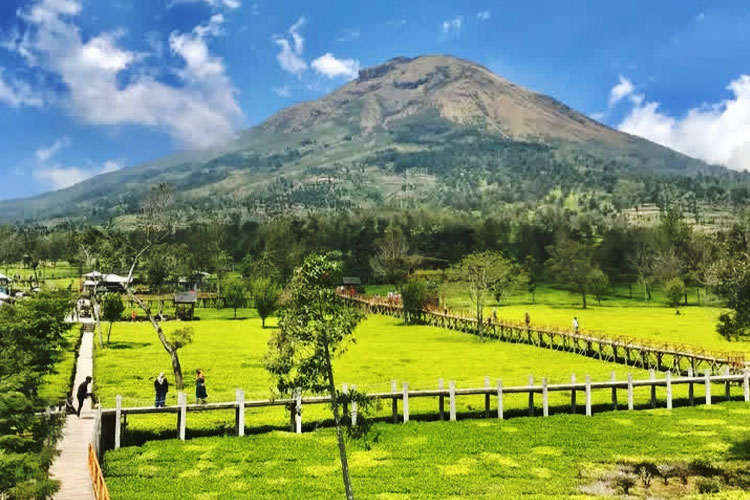 gunung-Sindoro-memberi-kesan-tenang-dan-menyatu.jpg
