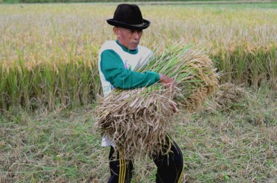 Jawa Timur Kontributor Utama Ketahanan Pangan Nasional