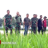 Aster Kasdam Brawijaya: TNI Komitmen Jaga Ketahanan Pangan dari Desa