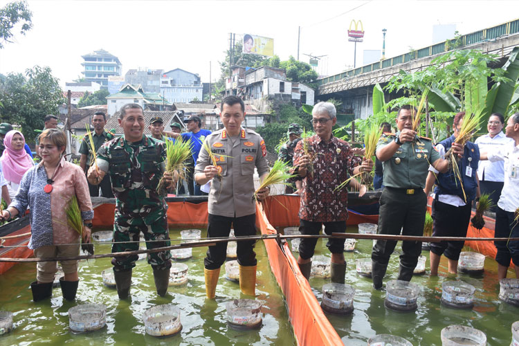 Panen Padi dan Belut Sekaligus, Inovasi Pertanian Urban Yogyakarta Tuai Dukungan TNI