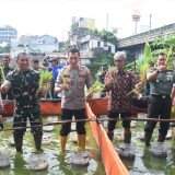 Panen Padi dan Belut Sekaligus, Inovasi Pertanian Urban Yogyakarta Tuai Dukungan TNI