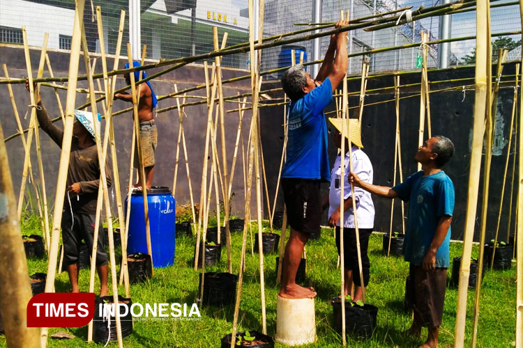 Budidaya Melon, Cara Lapas Banjar Produktifkan Warga Binaanya