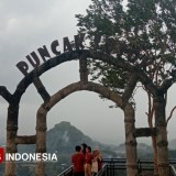Jelajah Wisata Bawuran Bantul, Potensi Melimpah dan PAD Capai Ratusan Juta Rupiah