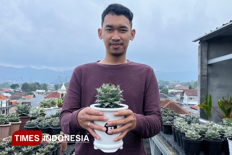 Adhitya Amansya, pemilik Agave Utara, menunjukkan salah satu koleksi agave titanota andalannya. Berawal dari kunjungan ke rumah saudara, kini ia sukses menembus pasar ekspor Jepang. (Foto: Kamiliya Salsabila Imelda)