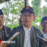 Ansor Pusat dan Perhutani Bondowoso Kolaborasi Manfaatkan Lahan untuk Pertanian Kopi