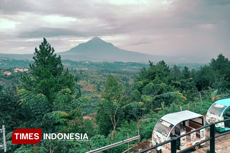 Melihat Gemerlap Kota dari Pintu Langit Prigen, Sejenak Tinggalkan Surabaya
