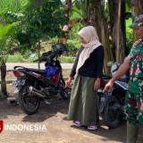 Tingkatkan Perekonomian, Program TMMD di Jember Juga Berikan Bantuan Ikan dan Kolam