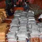 TNI AL Gagalkan Penyelundupan 1,9 Ton Narkoba di Perairan Karimun