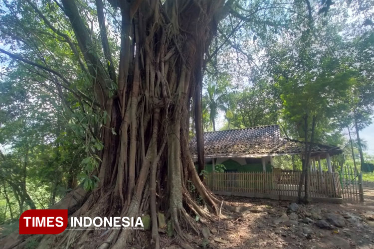 Menyusuri Sunyi dan Sejarah Makam Mbah Bandar Bolang di Pagerbarang Tegal
