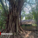 Menyusuri Sunyi dan Sejarah Makam Mbah Bandar Bolang di Pagerbarang Tegal