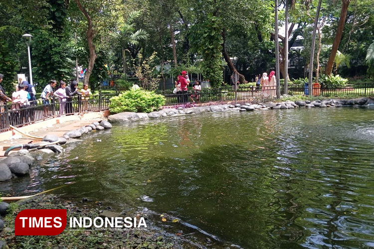Mini-Outbound-Taman-Flora-Surabaya-a.jpg