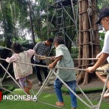 Taman Flora Surabaya Jadi Destinasi Favorit Warga, Ada Rusa dan Mini Outbound