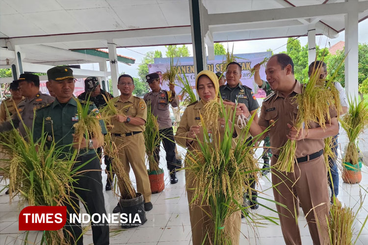 Gemblung Dadi Waras,  Inovasi Padi Rumahan Panen Serentak di Purworejo