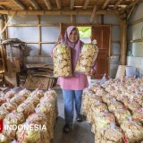 Kisah Keripik Tempe Sagu Bu Mariyah: Dari Dapur Rumahan di Bantul Hingga ke Pasar Ekspor