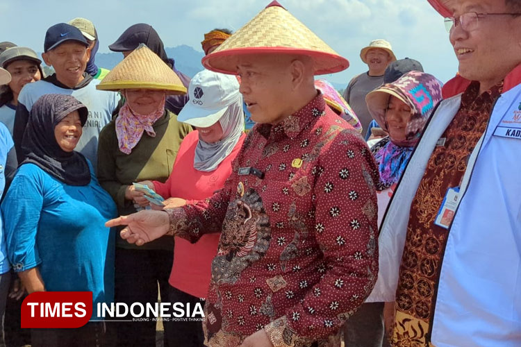 Ada Sentra Penghasil, 11 Komoditas Jadi Unggulan Sektor Pertanian di Kabupaten Malang