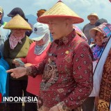 Ada Sentra Penghasil, 11 Komoditas Jadi Unggulan Sektor Pertanian di Kabupaten Malang