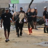 Pengawasan Ketat DKPP Kota Surabaya Jelang Iduladha 2025