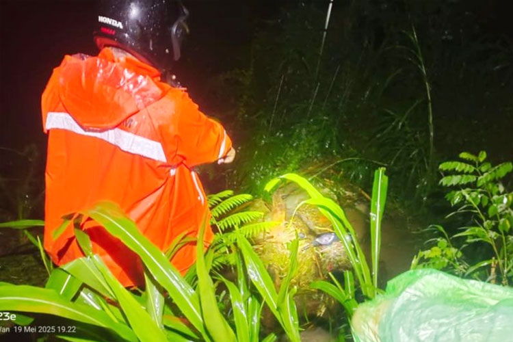 Petugas melakukan pencarian korban hanyut secara visual dari tepi Sungai Sumberbedok, Pagerwojo, Tulungagung, Jatim, Senin (19/5/2025). (FOTO: ANTARA/HO - BPBD Tulungagung)