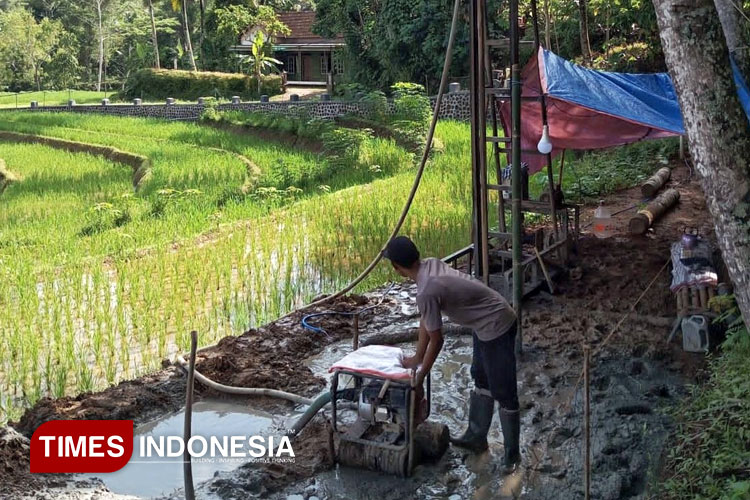 Duh, DKPP Pacitan Cuma Dapat 8 Irigasi Perpompaan dari 141 yang Diusulkan