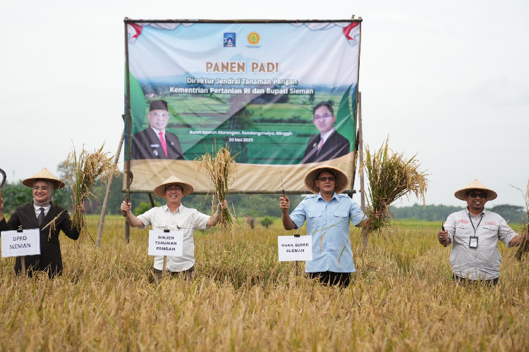 Kementan RI dan Pemkab Sleman Dorong Swasembada Pangan Nasional