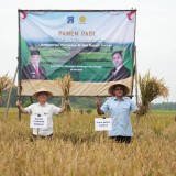 Kementan RI dan Pemkab Sleman Dorong Swasembada Pangan Nasional