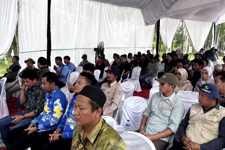 Pelatihan-dan-pendampingan-sosialisasi-traktor-Harfia-di-Desa-Tugu-Jaya-b.jpg