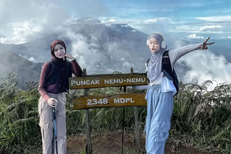 puncak-nemu.jpg
