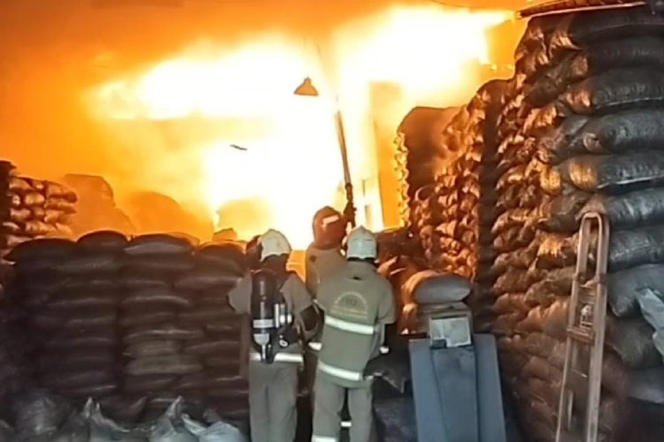 Jago Merah Lahap Gudang Kemiri di Surabaya, Puluhan Ton Hangus Terbakar