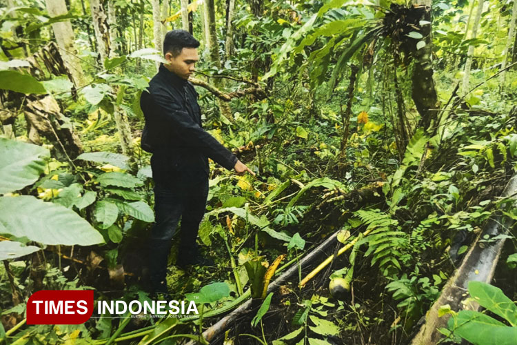lokasi-TKP-rudapaksa.jpg