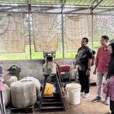 Polbangtan Malang dan UMM Perkuat Kolaborasi Vokasi Peternakan
