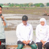 Gubernur Khofifah Dampingi Wapres RI Tanam Padi dan Tinjau Pabrik Beras di Ngawi