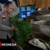 Kisah Inspiratif Seorang Perwira Polisi di Majalengka yang Sukses Beternak Kambing dan Ikan