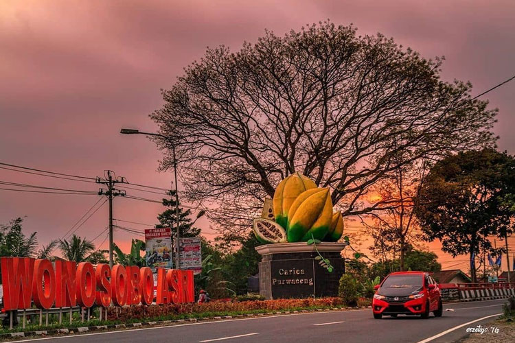 Tugu-Carica.jpg