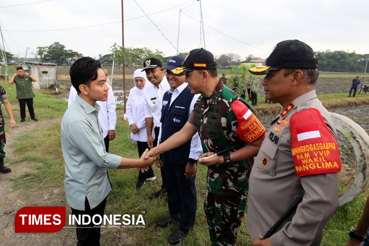 Wapres Gibran Didampingi Pangdam V Brawijaya Tanam Padi di Ngawi